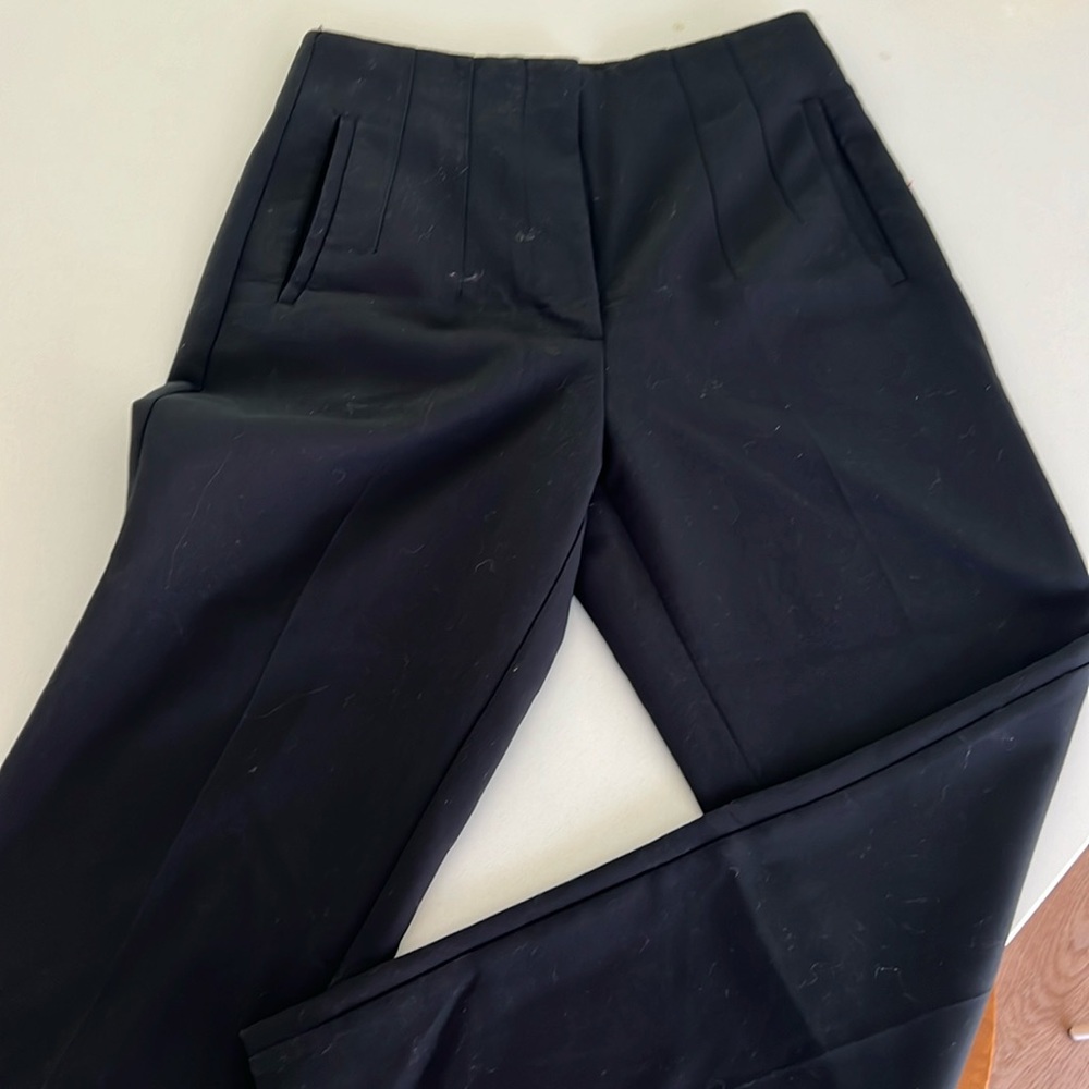 Zara dress pants. Nice detail. Flat pleats on front.
